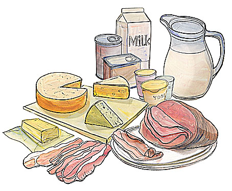 drawing of meat and dairy products